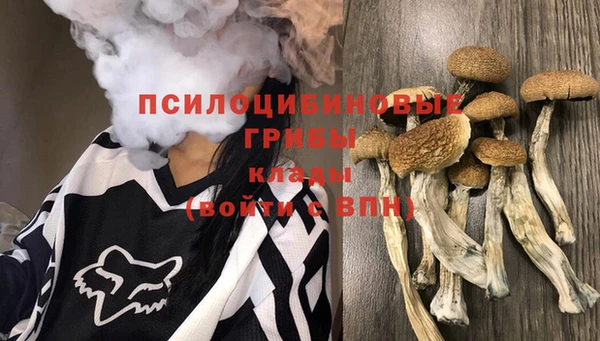 первитин Балахна