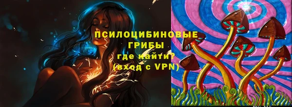 мдпв Белокуриха